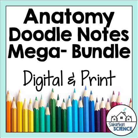 Anatomy And Physiology Doodle Notes Bundle Suburban Science