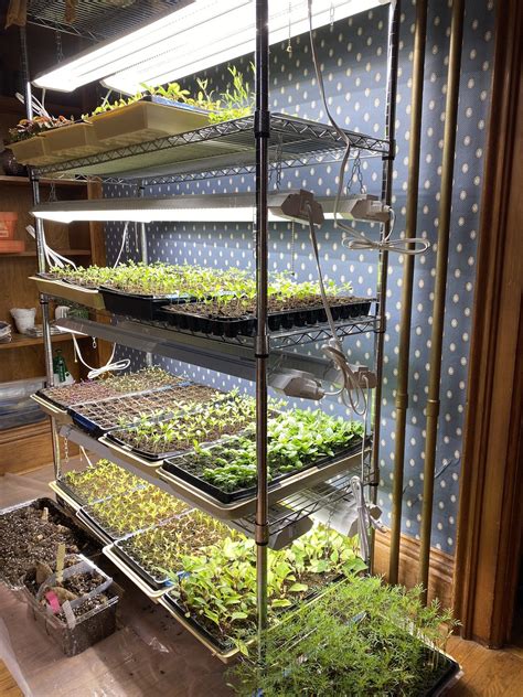 Diy Seed Starting Setup Heirloom Soul Florals