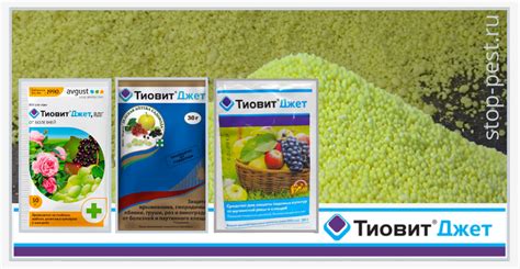 "Тиовит Джет" (фунгицид + акарицид) – один ответ от двух бед | ЗАЩИТА ...