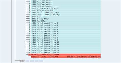 While Running Payroll Error Division By Zero Not P Sap Community
