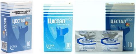 Цестал для собак - инструкция по применению, цена, отзывы | «Дай Лапу»