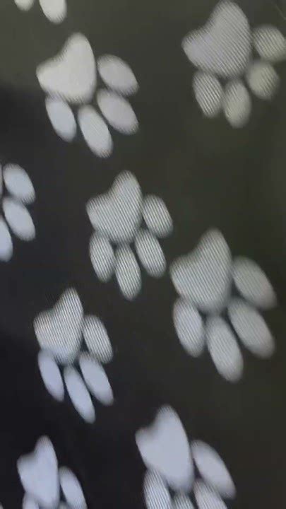 Чехол для перевозки собаки на заднем сидении автомобиля - YouTube