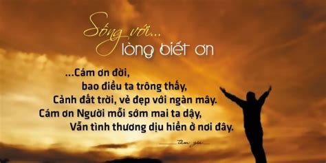 Sự biết ơn mãi không phai Lời hay ý đẹp về sự biết ơn Tổng hợp