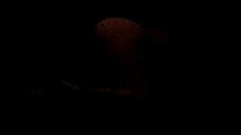 Esposa Infiel Cogiendo Con Desconocido Ta Parte XVIDEOS