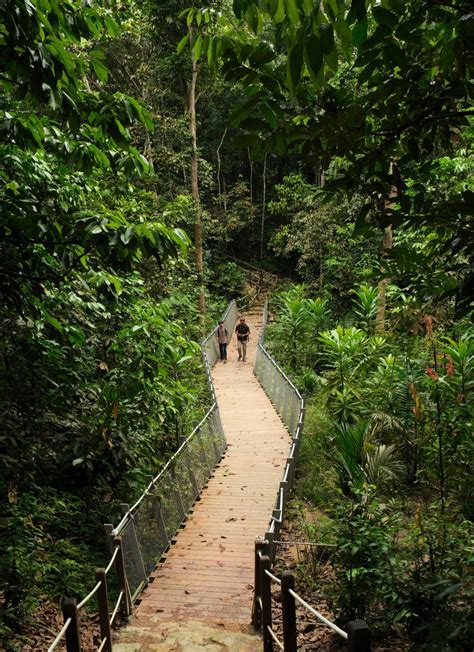 Discovering The Charm Of Rifle Range Nature Park