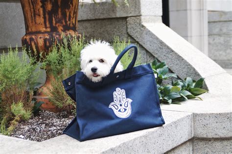 Kanvas East-West Bag – Quilted Koala