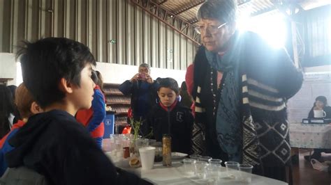 Colegio Alberto Pérez opiniones fotos número de teléfono y dirección