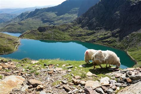 Snowdonia Zip Wire Top Things To Do Dowtk