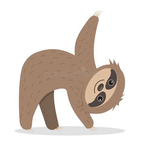 Sloth Doing Yoga Stock Illustration Illustration Of Isolated 176671361