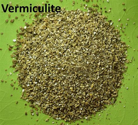 African Violet Soil / Potting Mix – Baby Violets