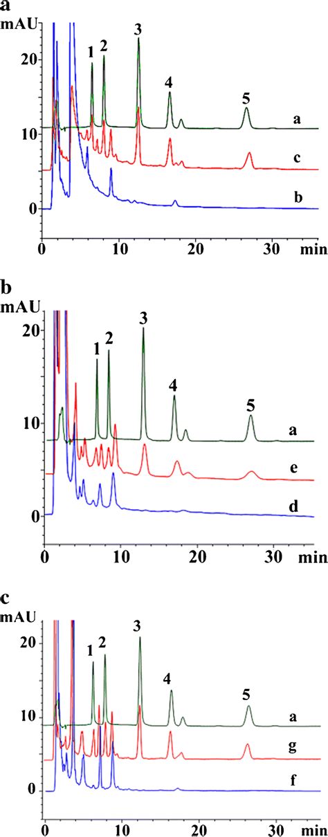 Typical Chromatograms Of A The Mixed Standard Solution Of The Five