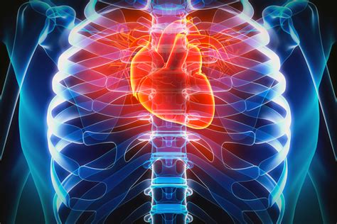 Stress and the Heart: The Understudied Link in Cardiology - Ferguson