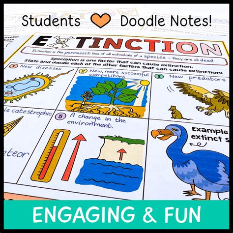 Speciation And Extinction Doodle Notes Emmatheteachie