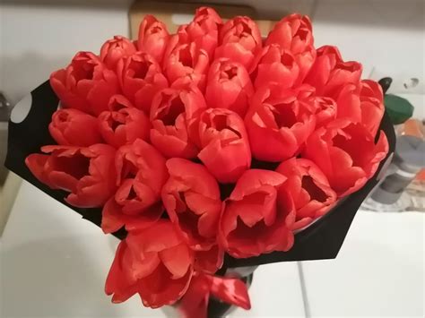 Люция цветок (56 фото)
