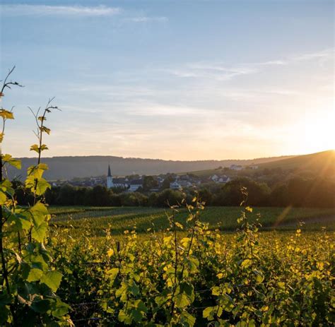 Wochenende Sonne Und Temperaturen Bis 38 Grad Erwartet WELT