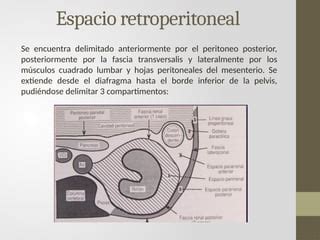 Ecografia De Retroperitoneo Ppt Pptx Ppt