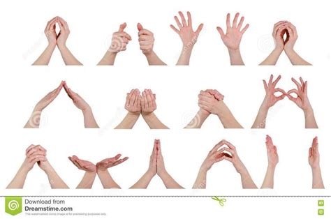 Hand Poses Hand Pose Poses Art Tips