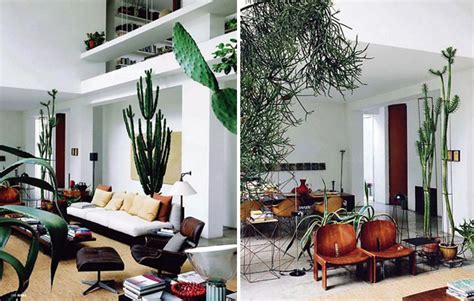 17 Indoor Cactus Gardens | HomeMydesign