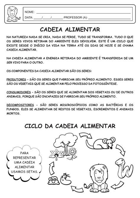 Exercicios Sobre Cadeia Alimentar - 7