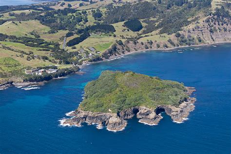 Marine reserve declines | Hauraki Gulf Forum Marine reserve declines