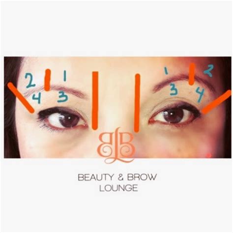 Beauty and Brow Girl by Rose Prieto: The Anatomy of the EYEBROW