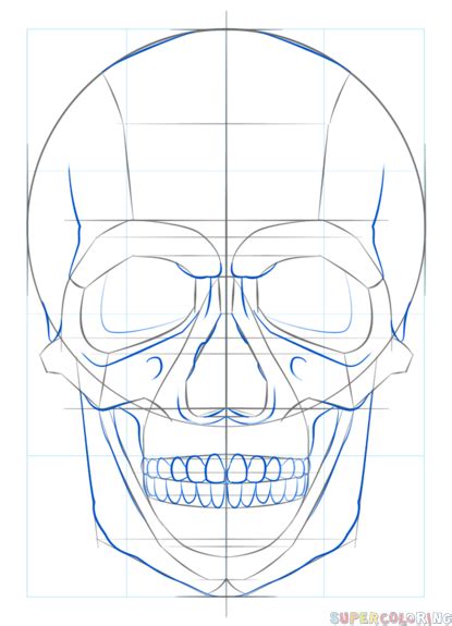 How To Draw A Human Skull Step By Step Drawing Tutorials Artofit