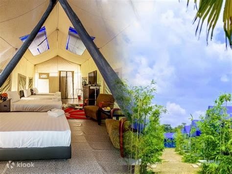 2d1n Staycation At Orchard Nature Safari Camp Resort Melaka Klook