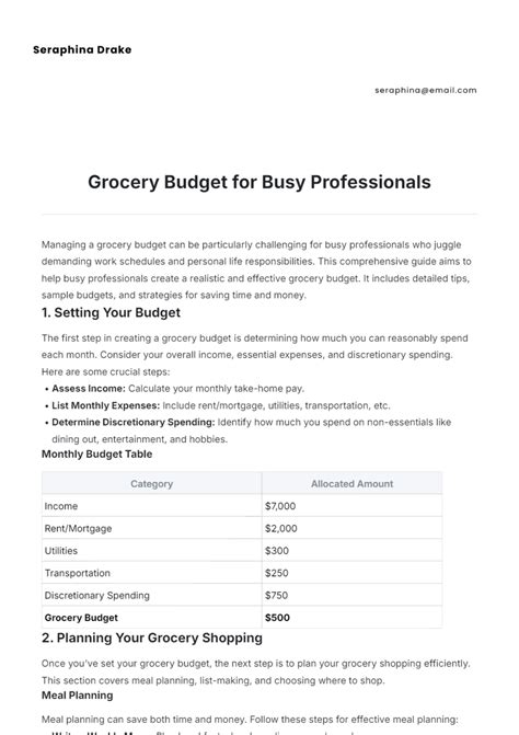 Free Grocery Budget for Busy Professionals Template to Edit Online