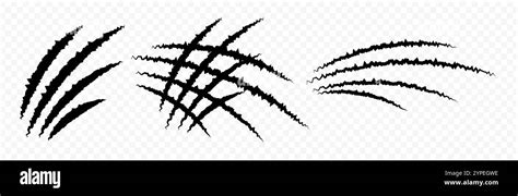 Vector Animal Claw Scratch Set On Transparent Background Stock Vector