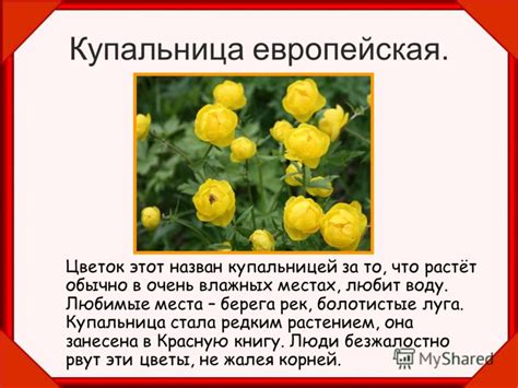 Презентация на тему: "Что такое «Красная книга». Окружающий мир 2 класс ...