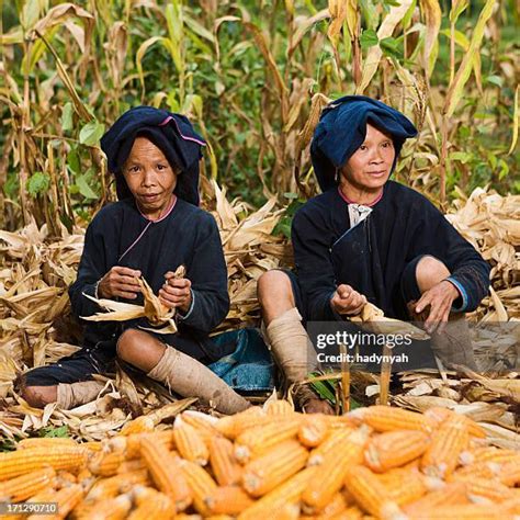 Native Maize Photos and Premium High Res Pictures - Getty Images