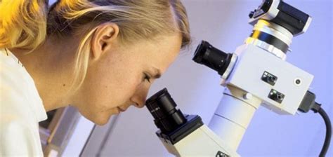 Real-life 'shrink ray' can reduce 3D structures