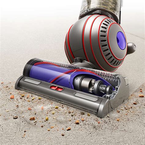 Dyson Ball Animal 3 Upright Vacuum Cleaner + Reviews | Crate & Barrel