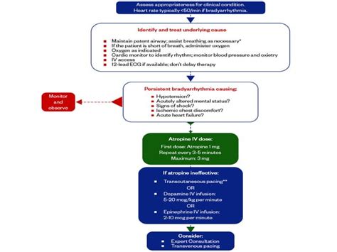 BRADYCARDIA IN ECG,CAUSES AND ITS MANAGEMENT | PPT