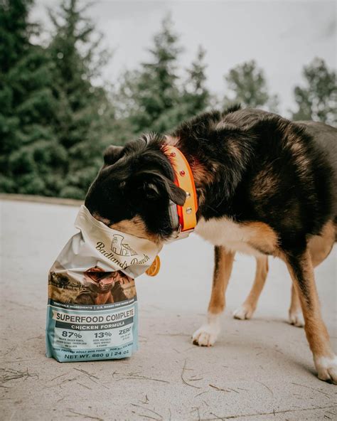 Badlands Ranch | Clean, Healthy Dog Food by Katherine Heigl