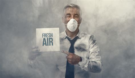 HEPA Air Purifier for Mold Removal: Buyers Guide - Hunter Games Magazine