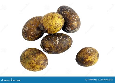 hog plum spondias pinnata forest fruit makok thai word isolated