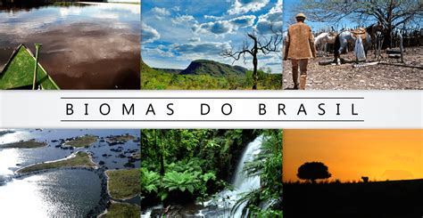Biomas Do Brasil Imagens - e-Book Biomas do Brasil
