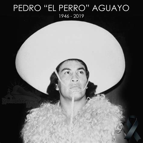 Un luchador que dejo huella por su... - Recorridos Magicos