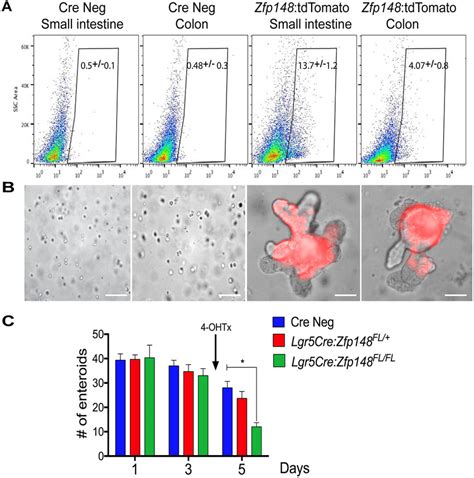 Single cell sorting of Zfp148: tdTomato + Cells and deletion of Zfp148 ...
