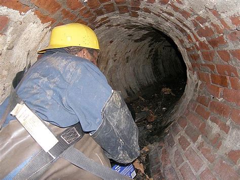 20 Real Jobs You Won't Believe People Do