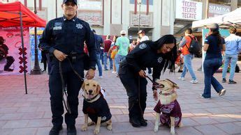 Unidad Canina de Torreón perros policías cómo los entrenan Grupo Milenio