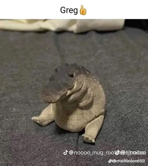 This is greg. Greg is a crocodile. : r/antimeme
