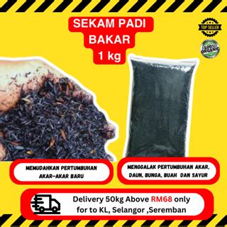 Sekam Padi Bakar Halus Kg Fine Burnt Rice Husk Tinggi K Silika