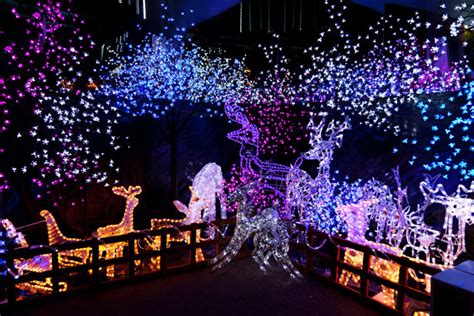 outdoor christmas decorations  stock photo public domain pictures