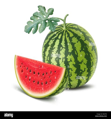 Watermelon And Slice Illustration Digital Painting Stock Photo Alamy