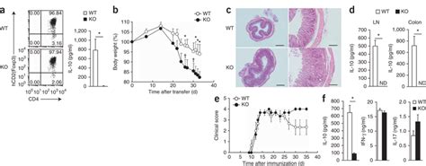 Exacerbated Colitis And Eae In E Bp Mice A Flow Cytometry