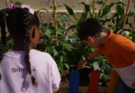 Talleres Gratuitos De Memoria Y Envejecimiento Activo Zamora Punto