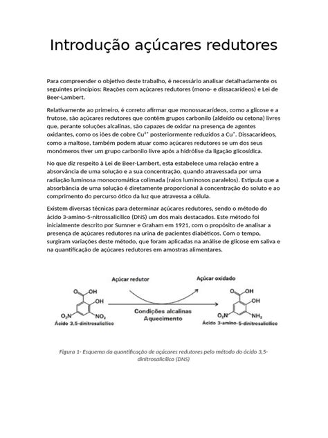 O Que Sao Acucares Redutores - Introdução Açúcares Redutores | PDF | Carboidratos | Absorbância