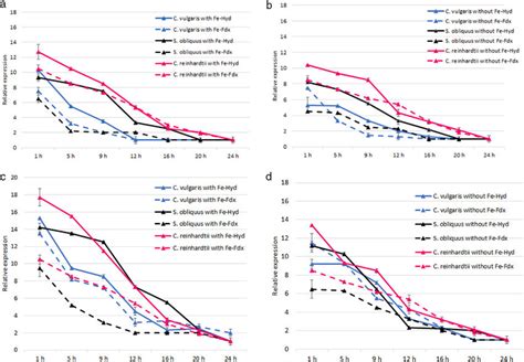 Relative Expression Of Fdx And Hyd Genes In Microalgae At Dark Light Of